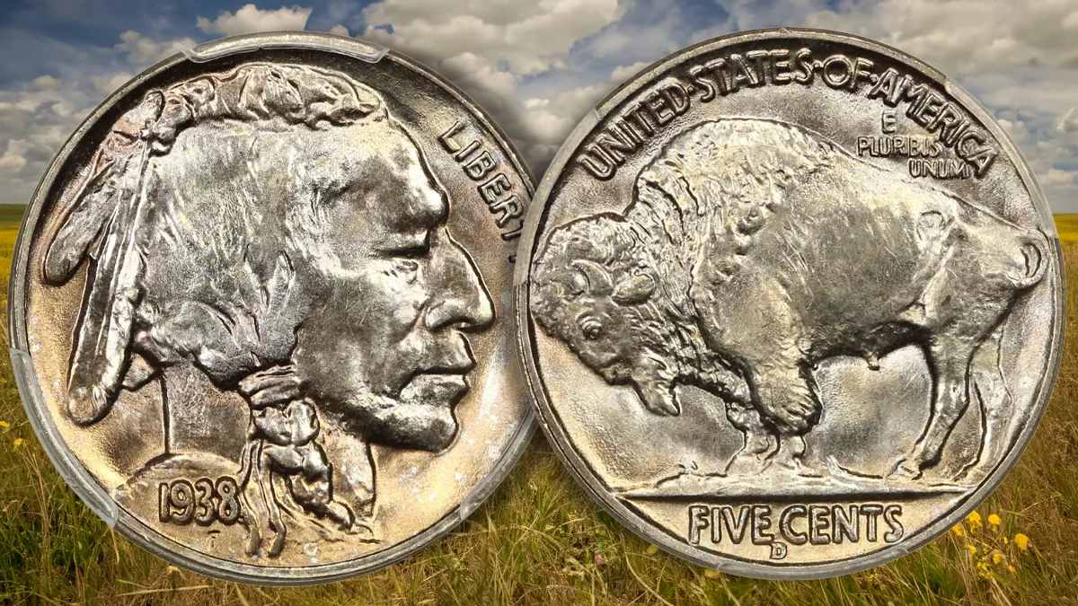 Close-up of a Buffalo Nickel featuring a Native American on the obverse and an American bison on the reverse.